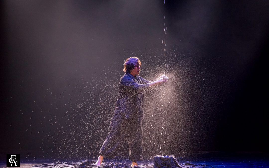 Molins de Màgia: Capturando la Ilusión